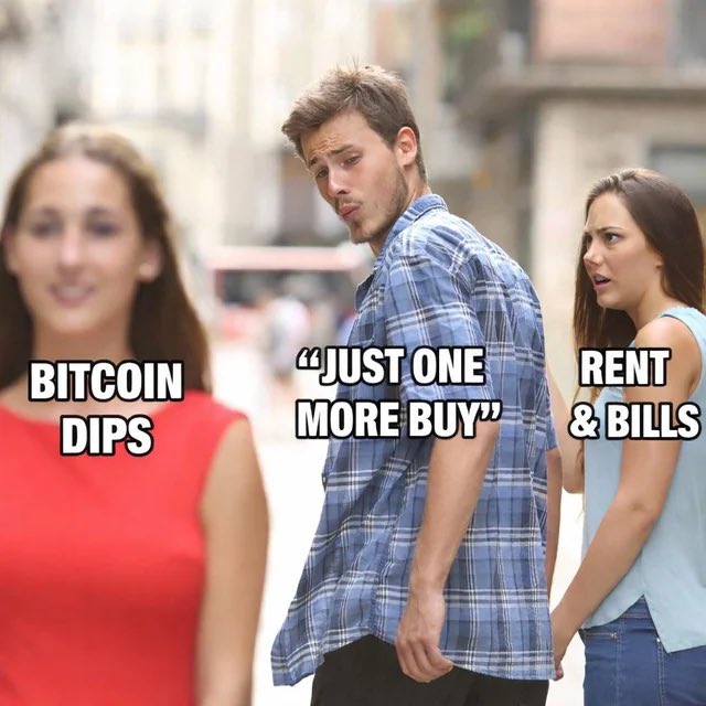 Bitcoin Daily tweet media