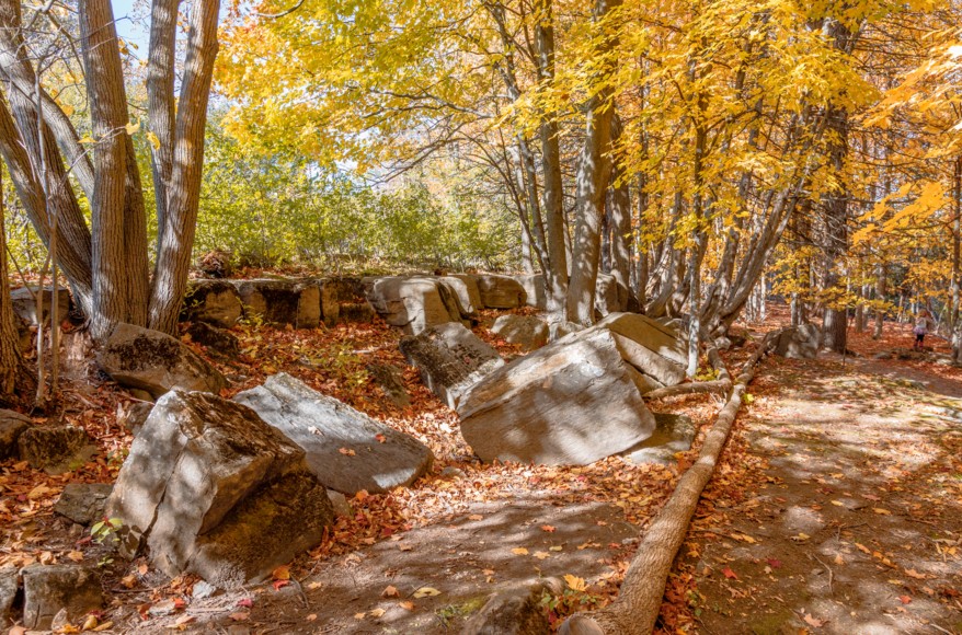 National Capital Commission tweet media