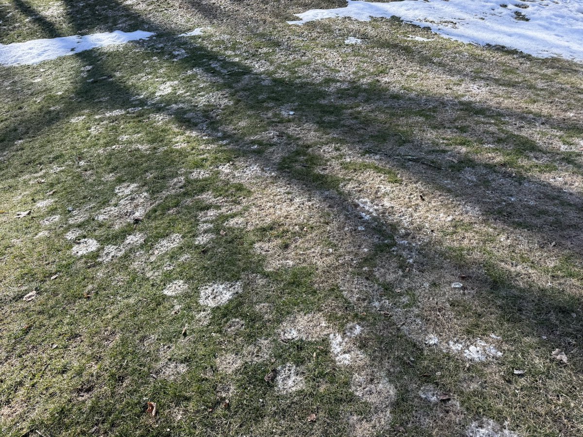 eweather tweet media