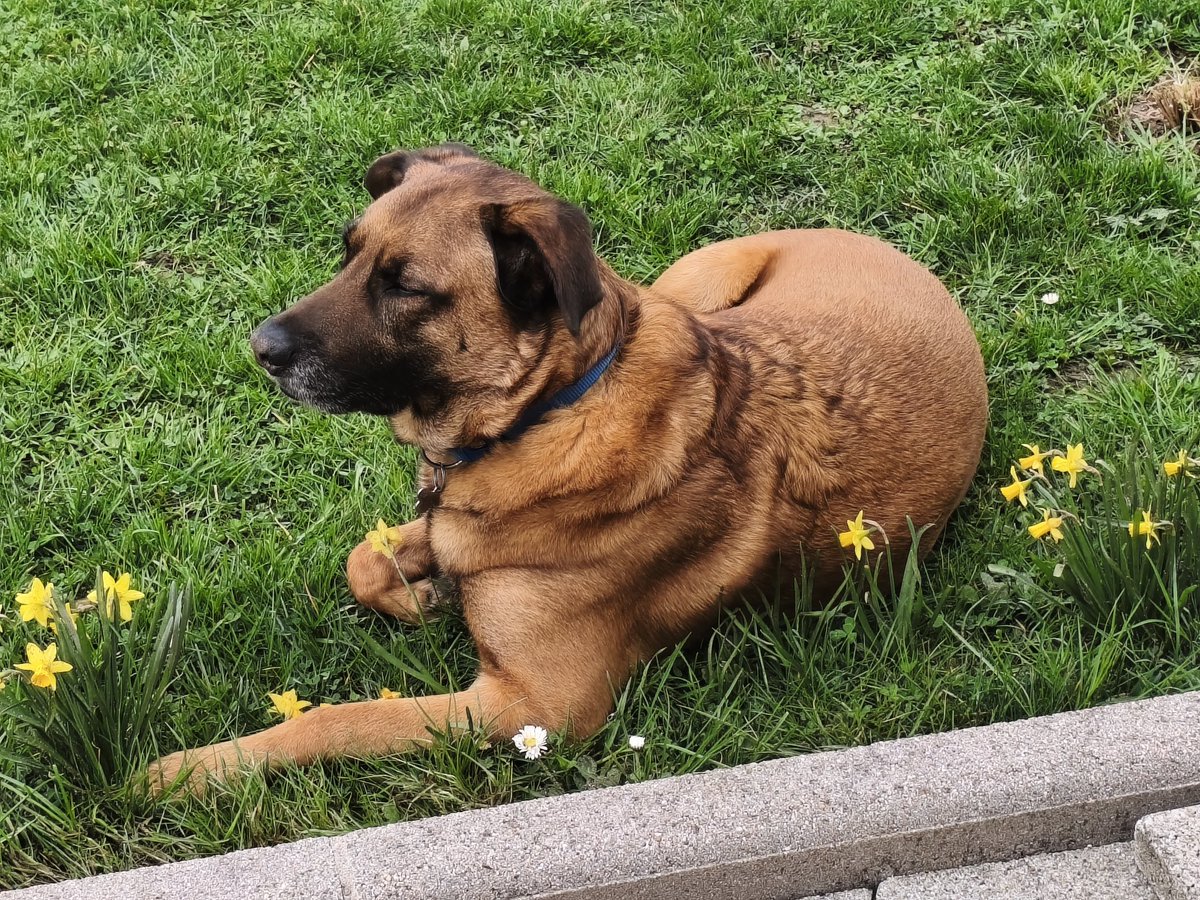 Pascha 🎀 tweet media