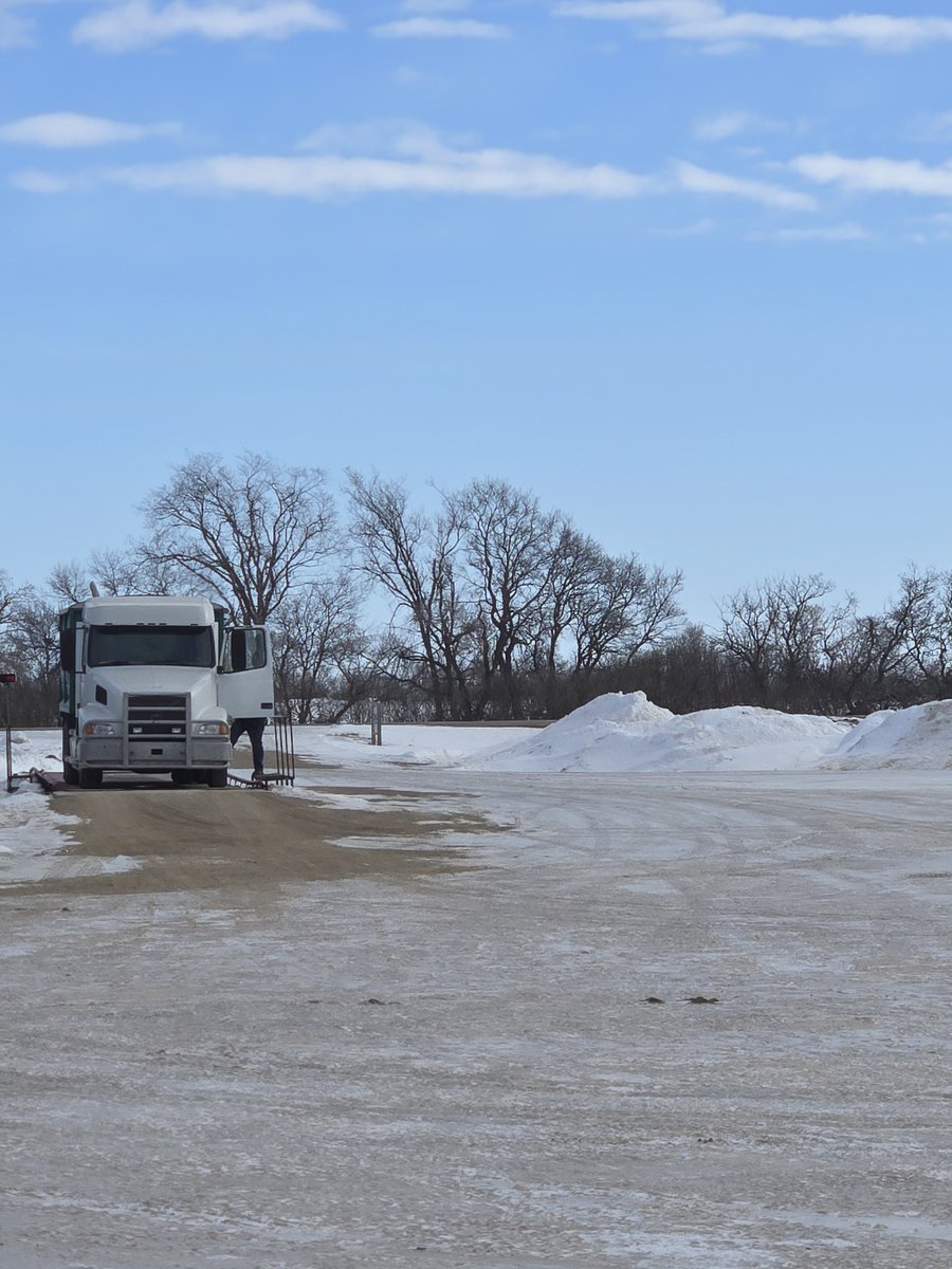 Randy Toman tweet media