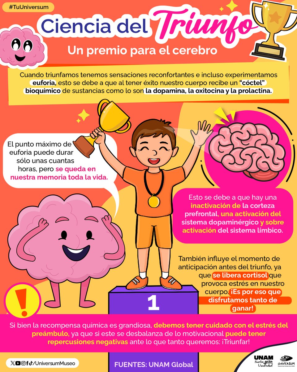 "Se triunfa con lo que se aprende". 🏆🥇🏅🎖️

#TuUniversum