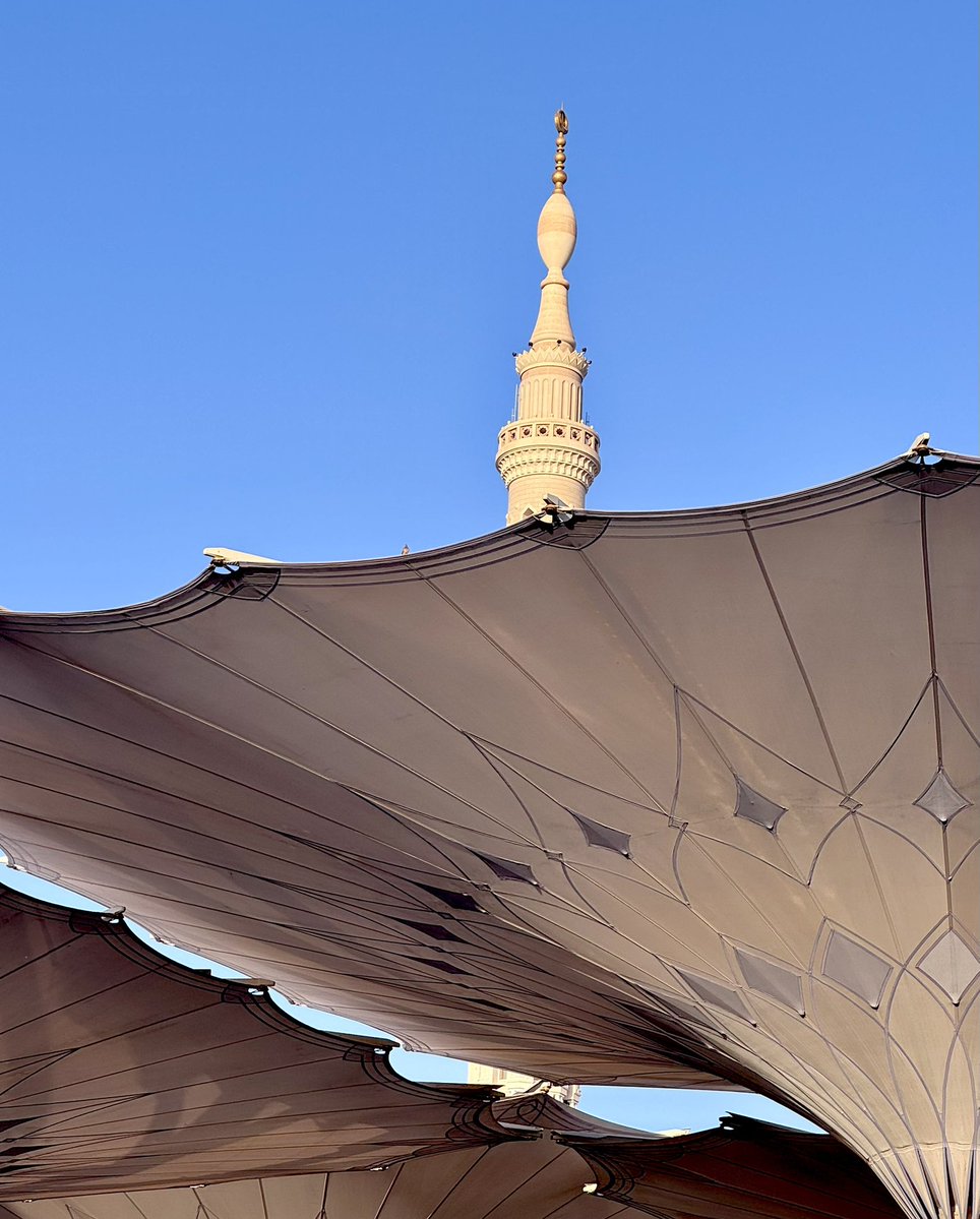 فيّــاض tweet media