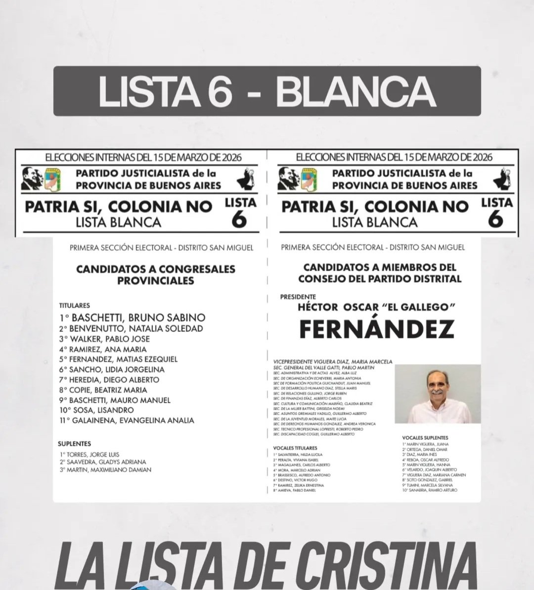 ELECCIONES INTERNAS DEL  PJ del 15 de 
MARZO de 2026 San Miguel