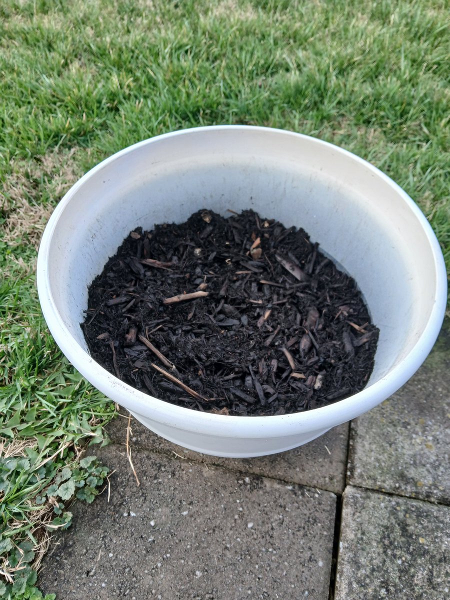 Woogy ✝️ tweet media