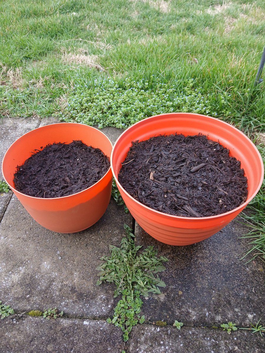 Woogy ✝️ tweet media