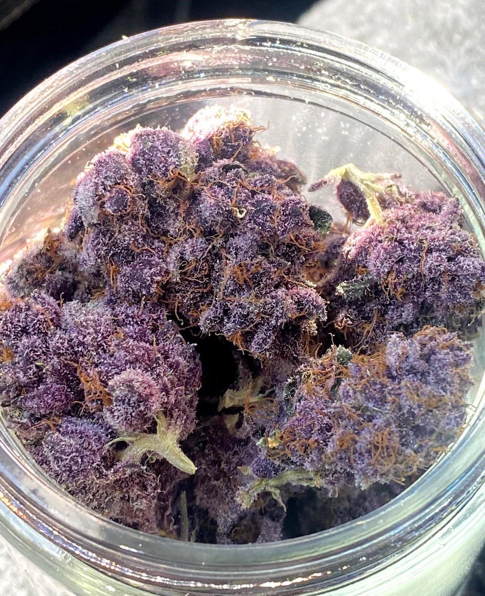 LiftedLeaf tweet media