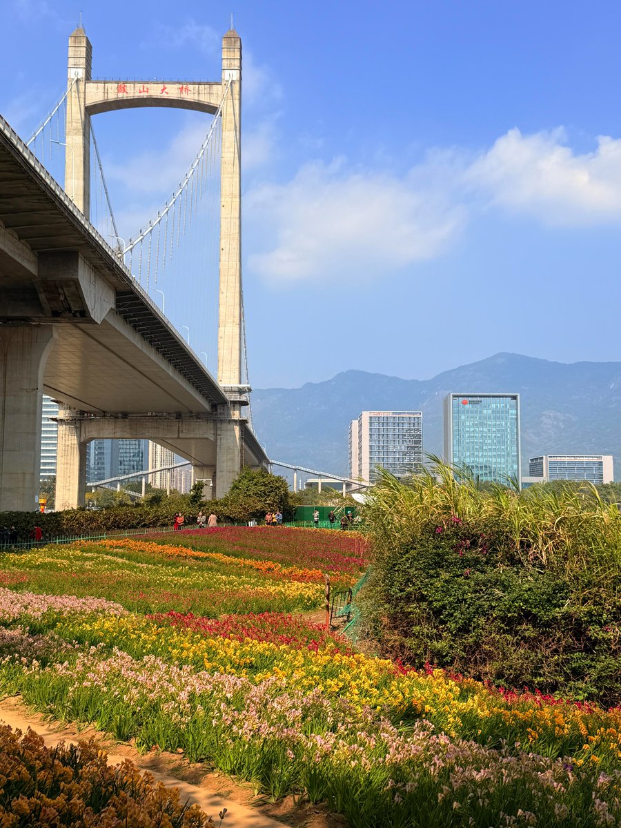 清风拂心弦 tweet media