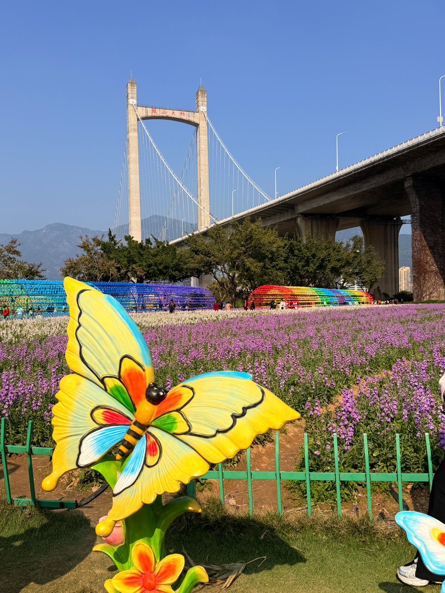 清风拂心弦 tweet media