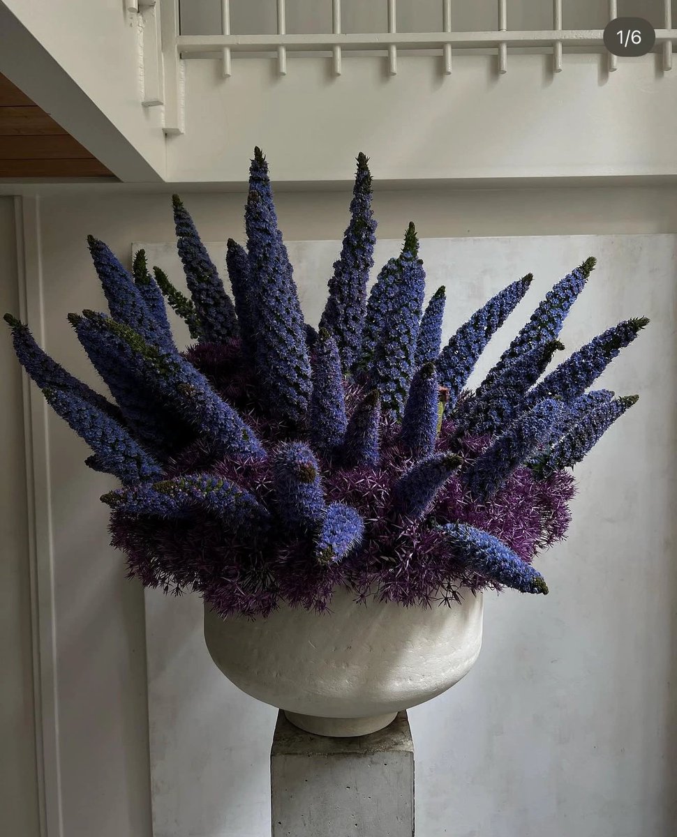 Florals as sculpture…XK.

Inspo from Castor Fleuriste, Ruby Marylennox, Sophie Pinet.