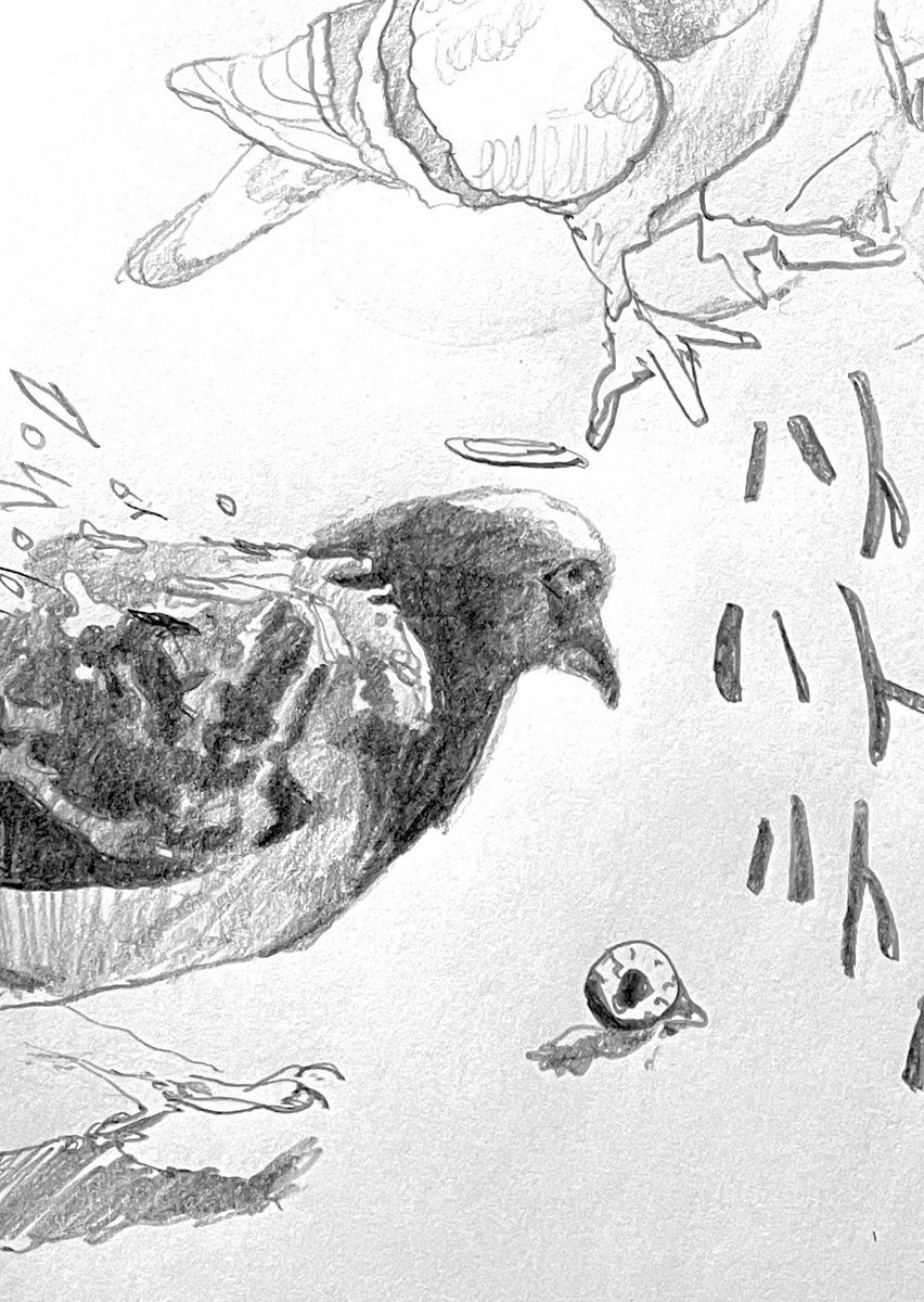 どすん (@dos_nnnn) on Twitter photo 