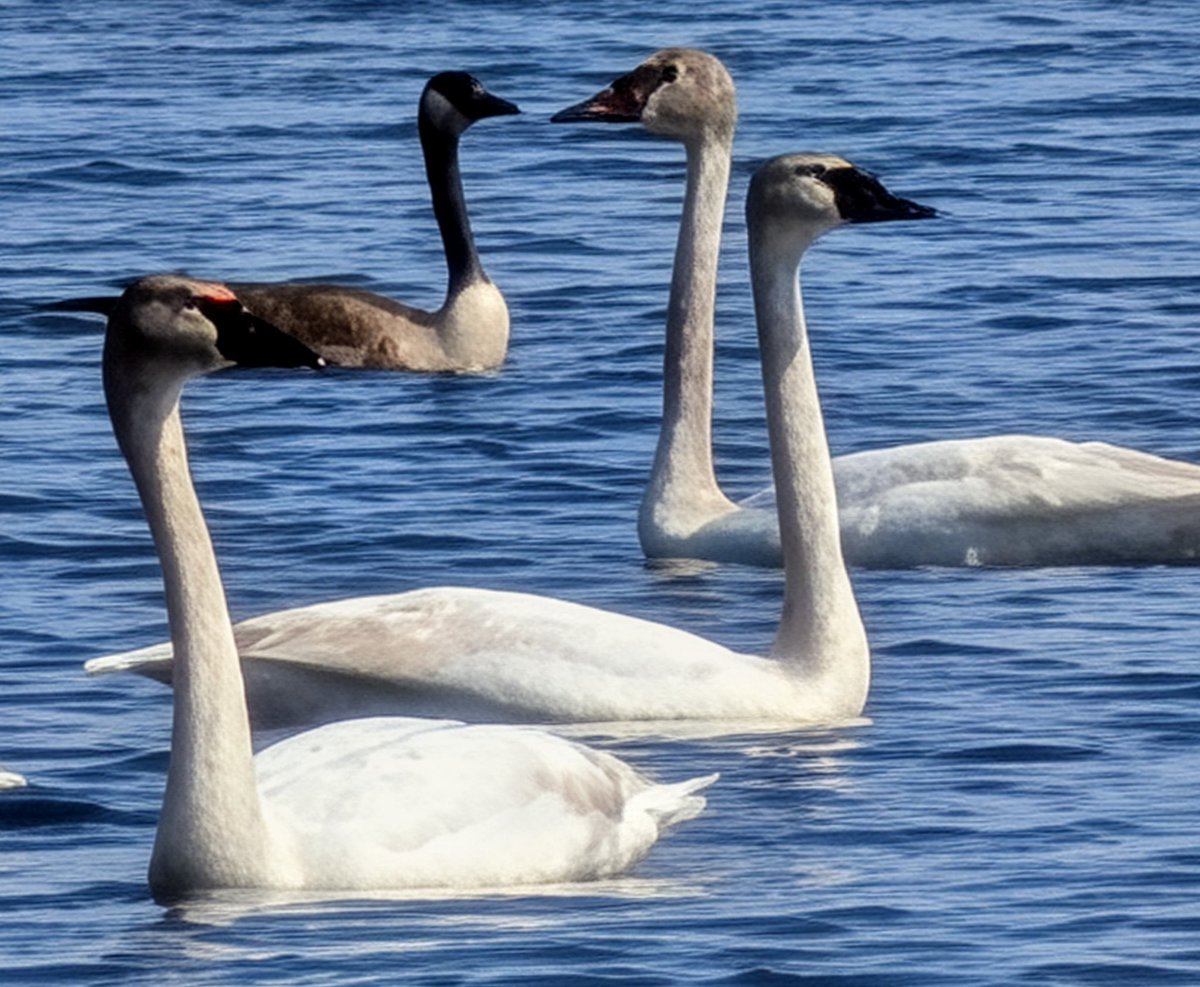 Creative Mitch tweet media