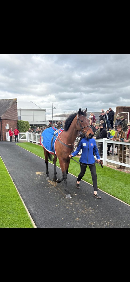 TwoPoundPunt tweet media