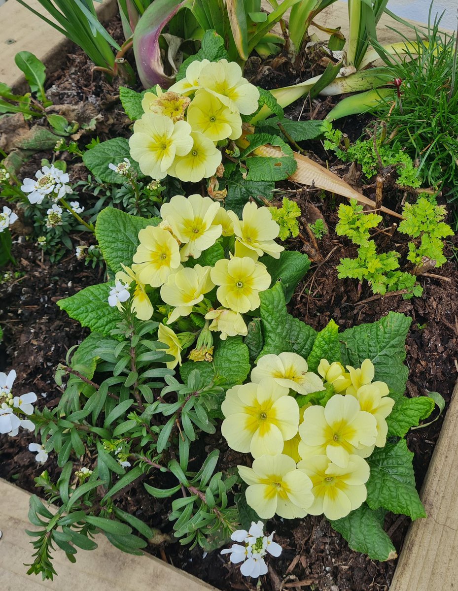 Patsy McGarry tweet media