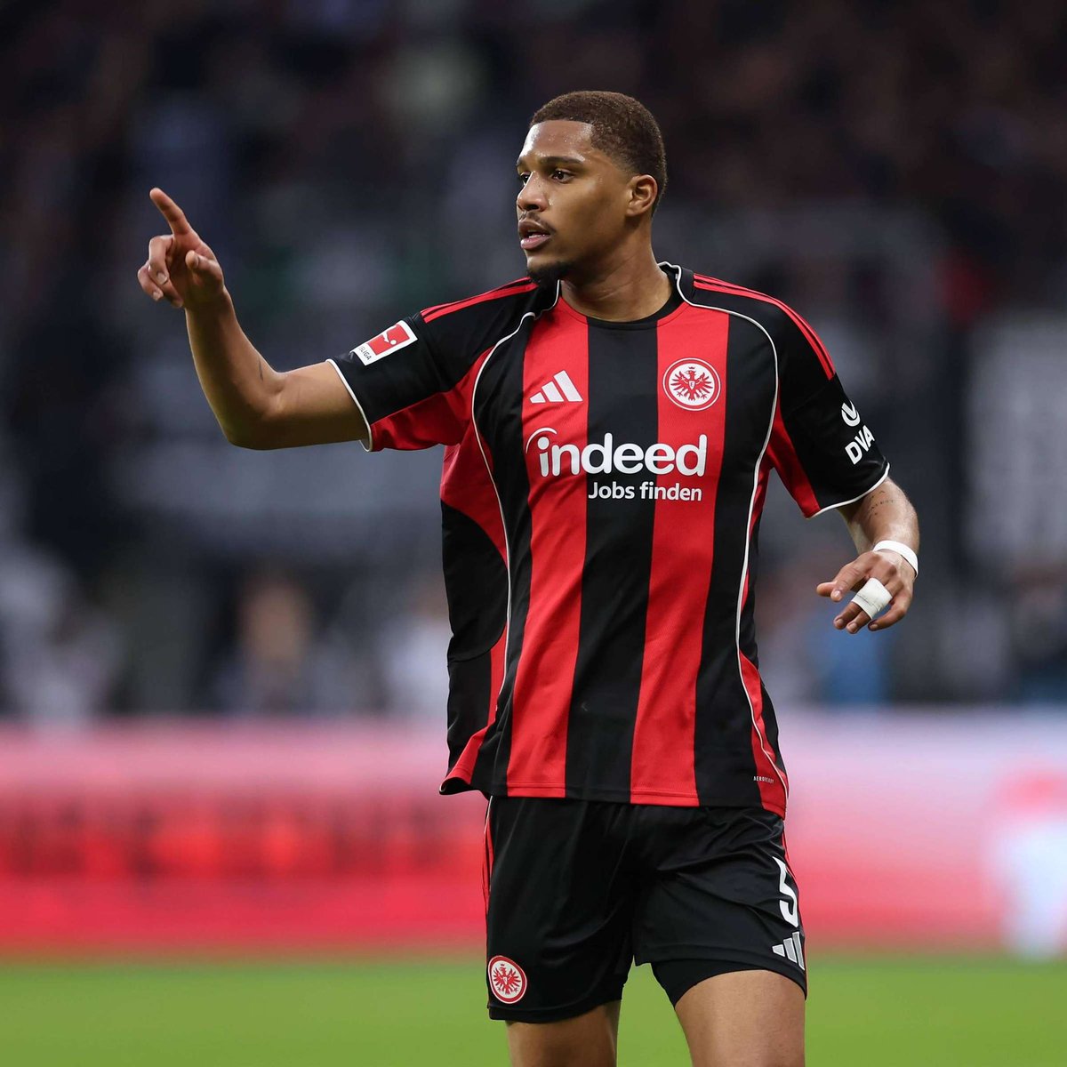 FreddySGE tweet media