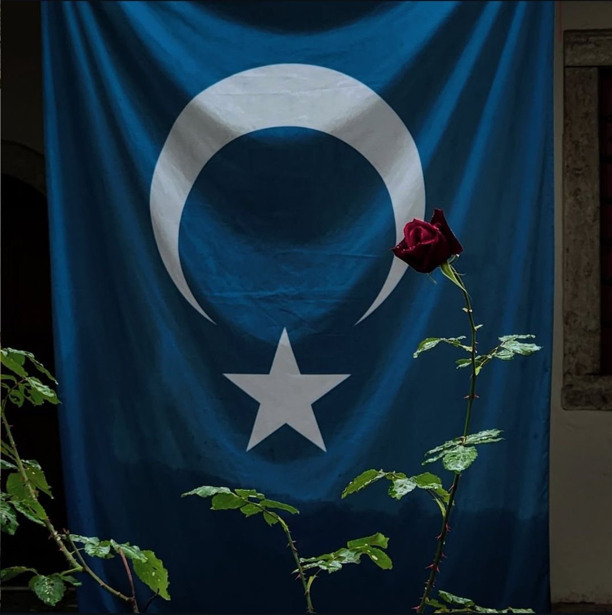 "Al bayraktan Gök bayrağa, selam olsun!"
