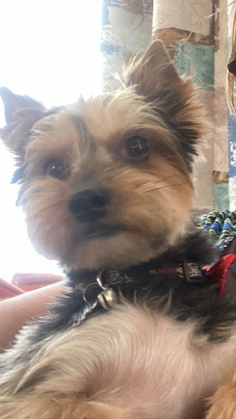 ~•☆ 𝘙𝘺𝘷 ☆•~ tweet media