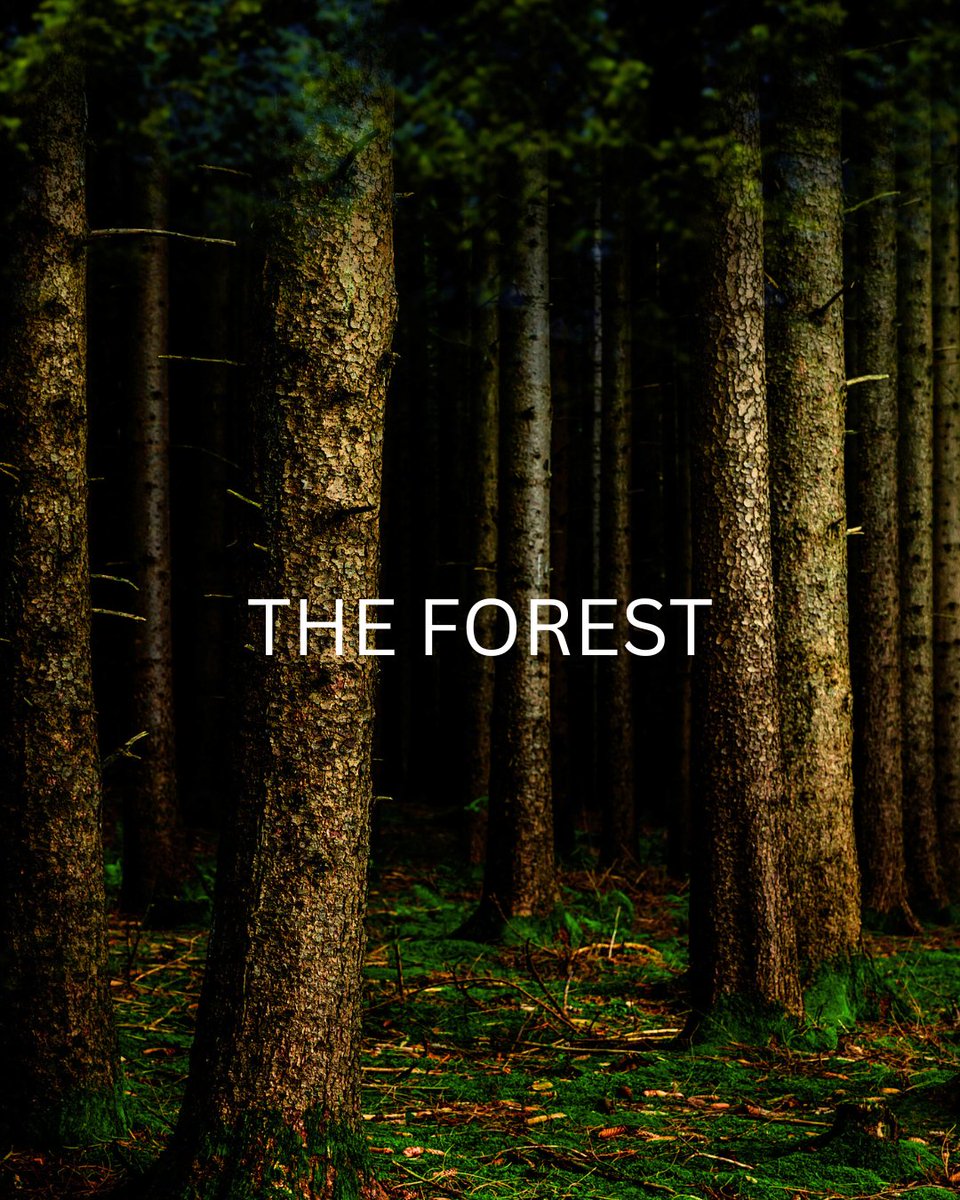 Just typed #theend!
#destinationthriller
#mainewoods
#writingcommunity