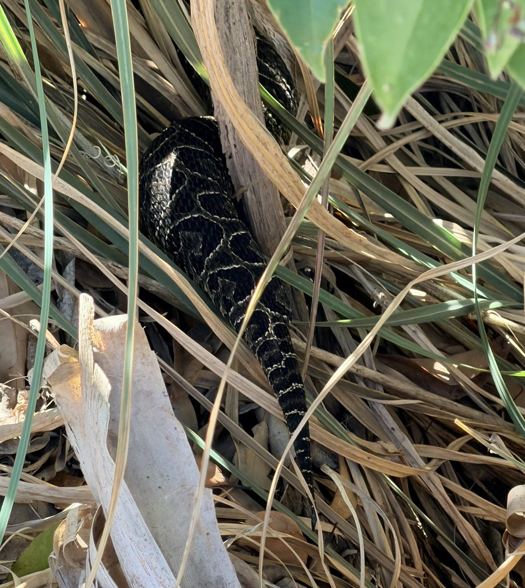 Chris Hart tweet media