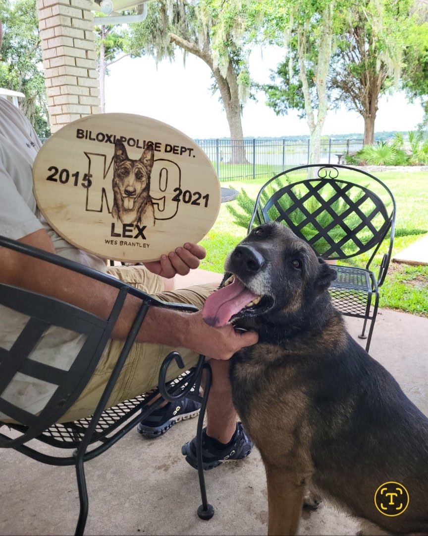 Retired Police Canine Foundation tweet media