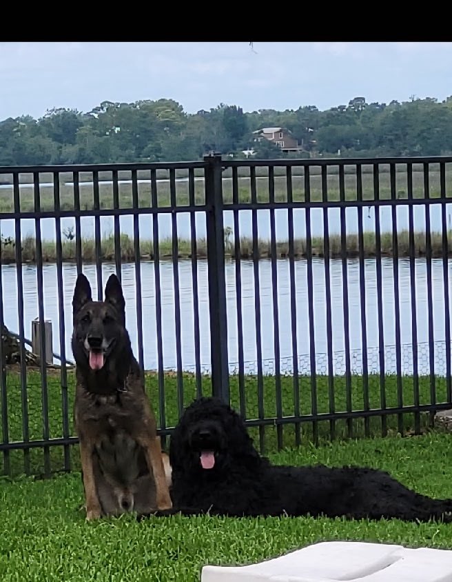 Retired Police Canine Foundation tweet media