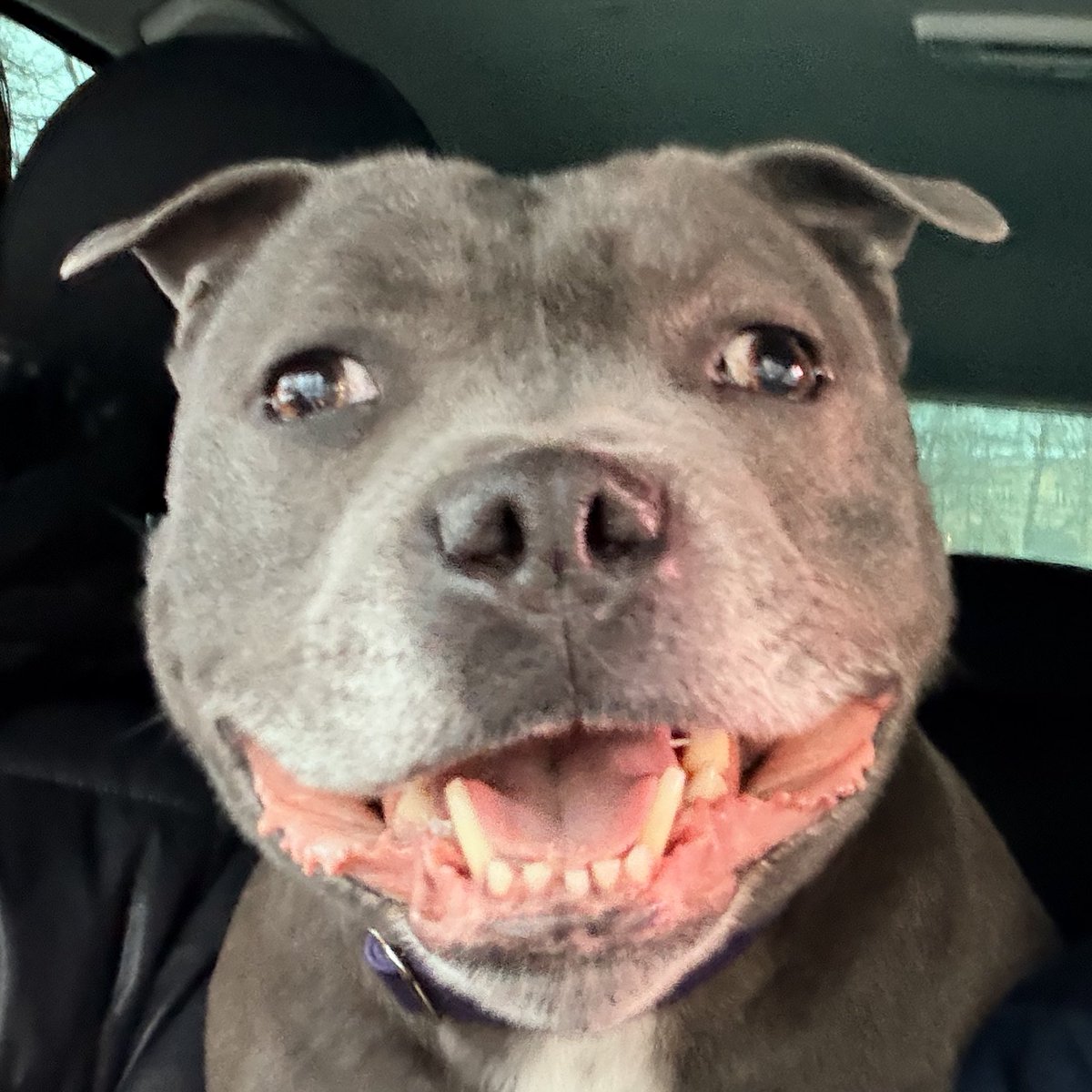 Прогре$$ для $ША #6357 tweet media