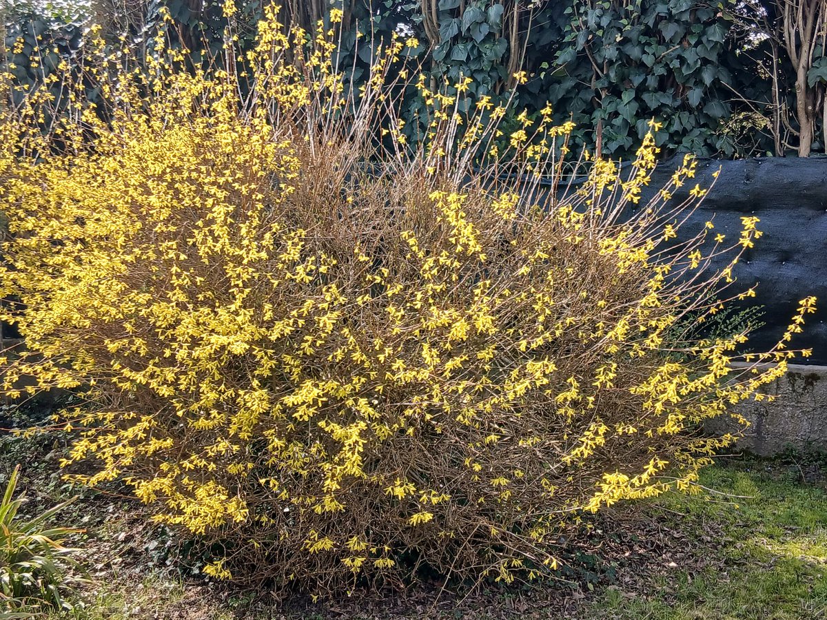 Patrizia tweet media