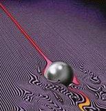 昨日に泳ぐ 🌱