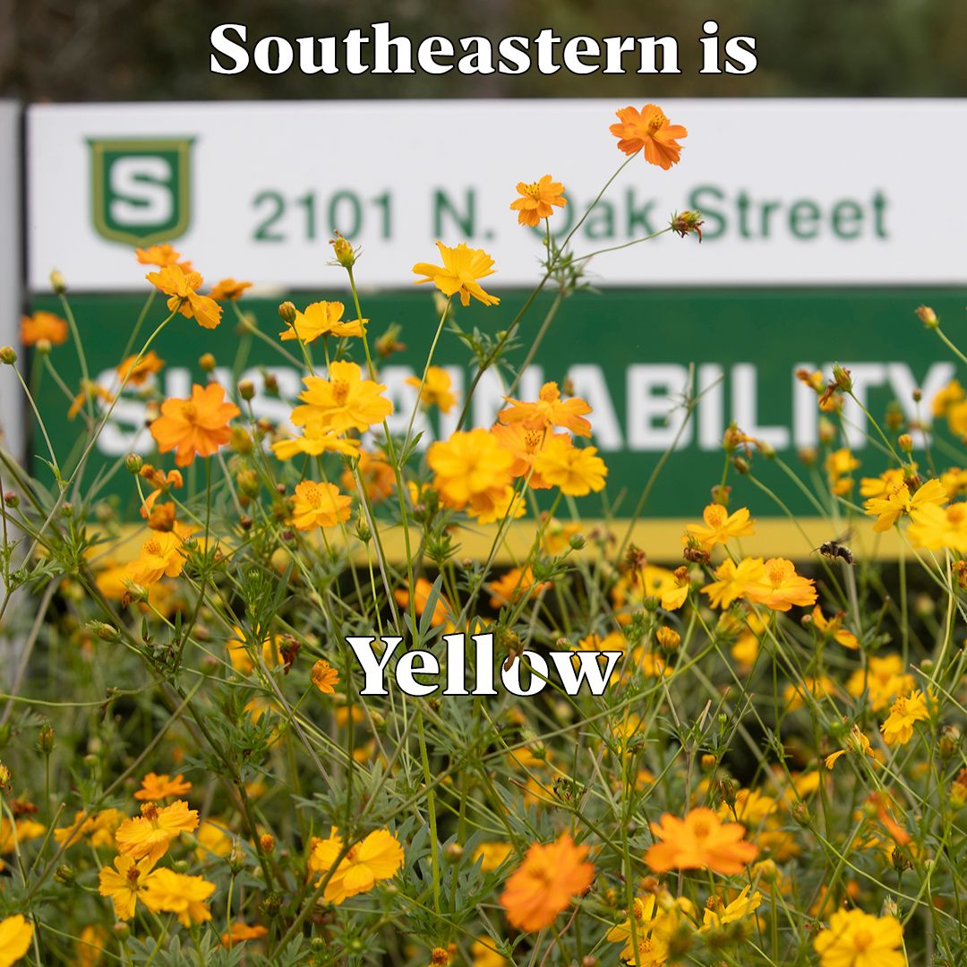 Southeastern LA Univ tweet media