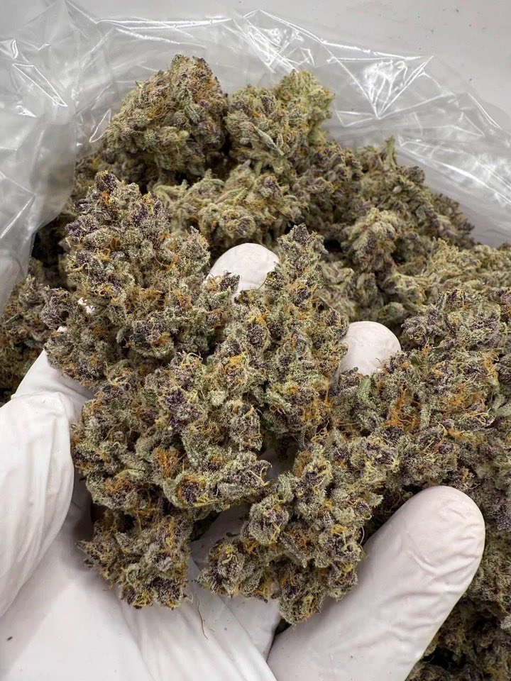 LiftedLeaf tweet media