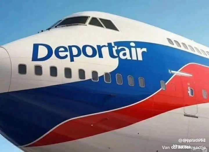 Grumpy ☄️ tweet media