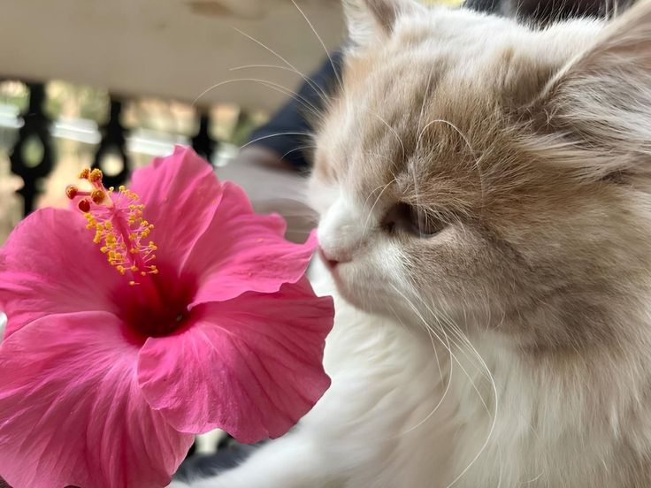 𝒍𝒖𝒏𝒂 tweet media