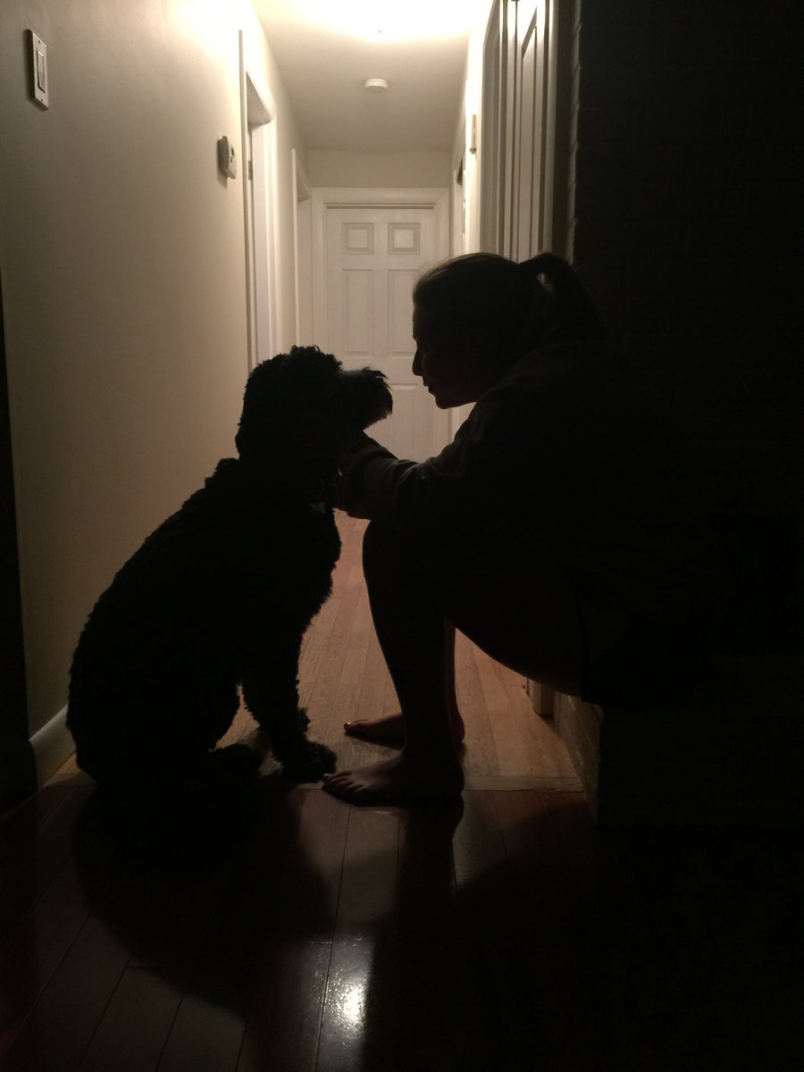 Dan Roche tweet media