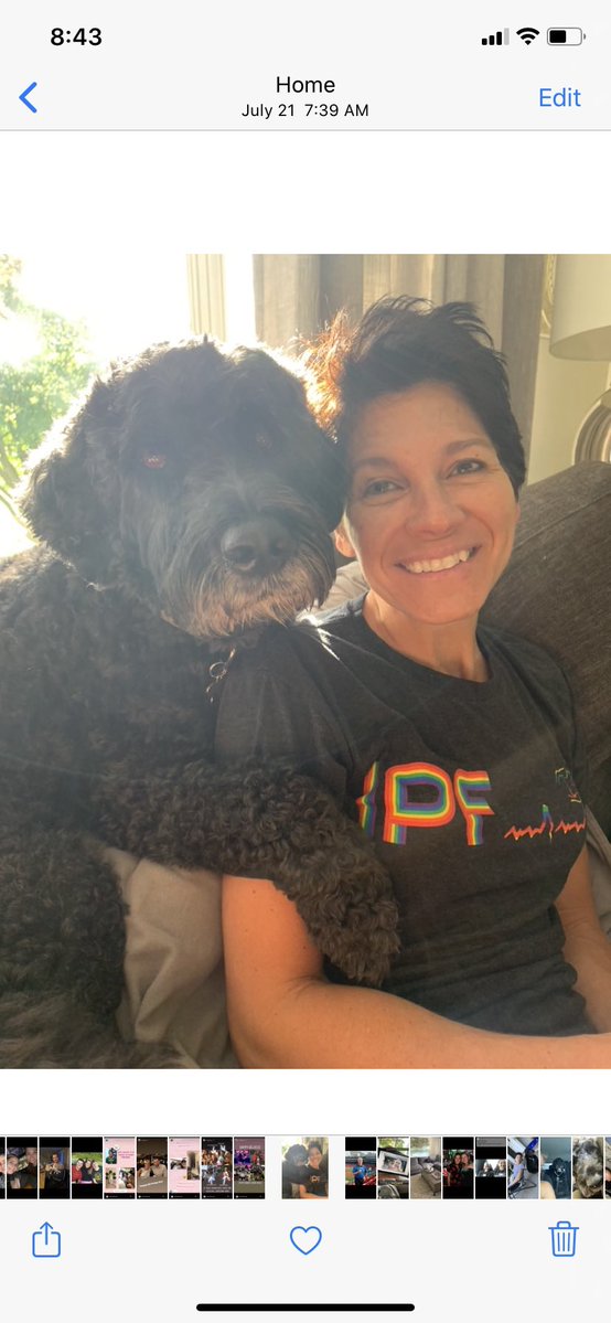 Dan Roche tweet media