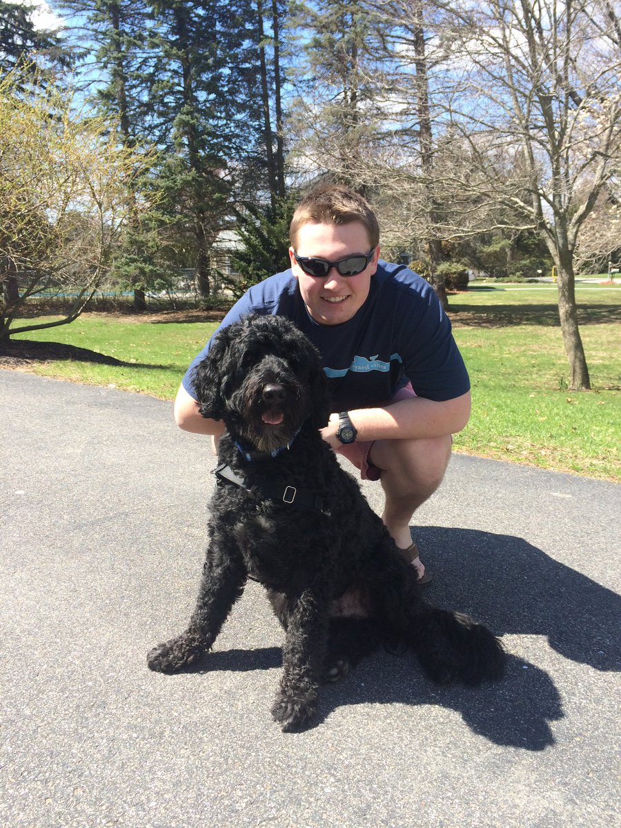 Dan Roche tweet media