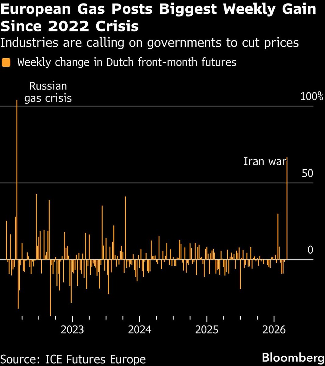 Basil🧡 tweet media