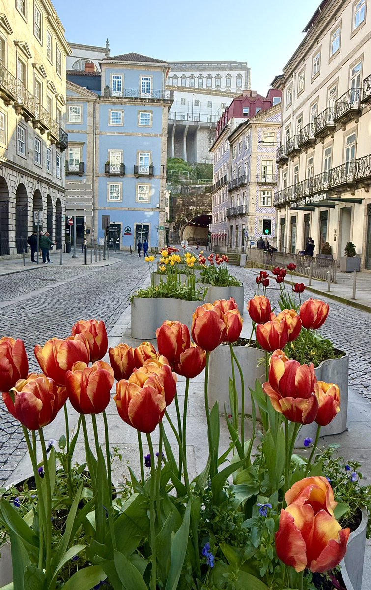 monty772011's tweet image. Porto, Portugal 🇵🇹 #Porto #Portugal #March2026