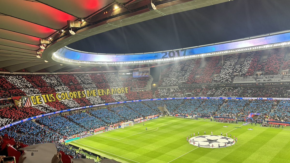 Emerrede ✨ tweet media