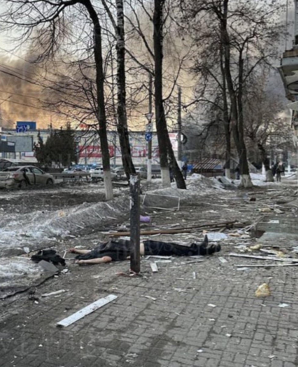 Visegrád 24 tweet media