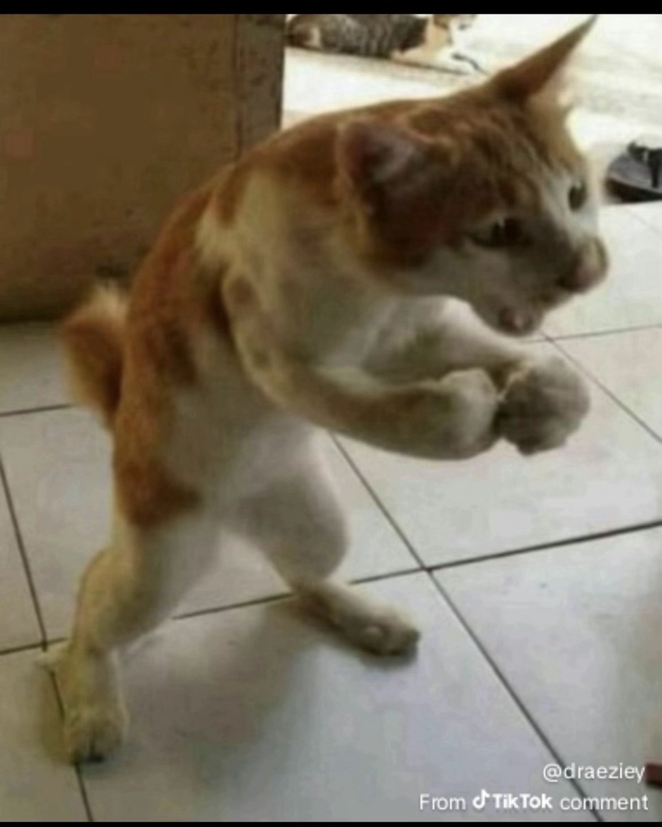 My best friend preordered Crimson Desert for me for my birthday LETS GO