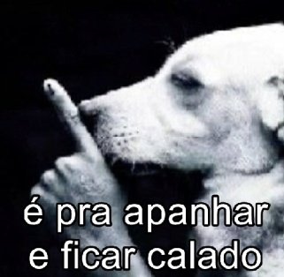 sptnls's tweet photo. fui desabar com o chat gpt, fechei o aplicativo assim https://t.co/bGuGJVMsBr