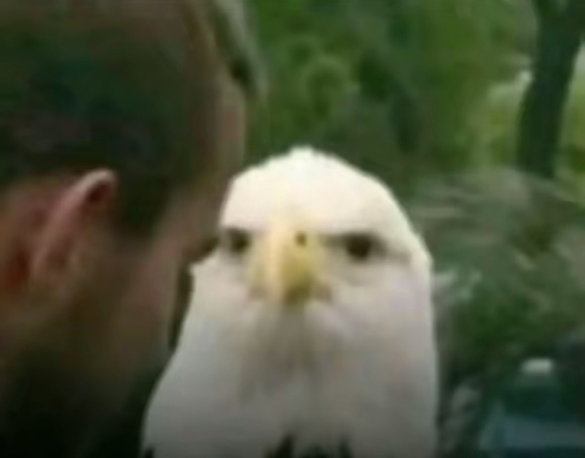 Stones_cs tweet media