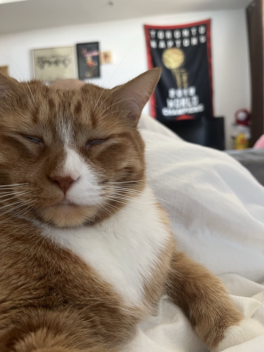 Get On My Level☁️July 31-Aug 2☁️start.gg/GOML tweet media