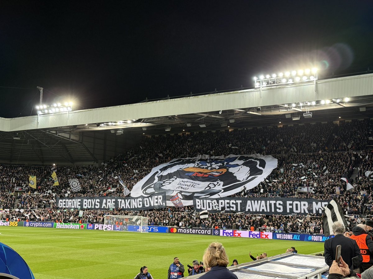 Jordan Cronin tweet media