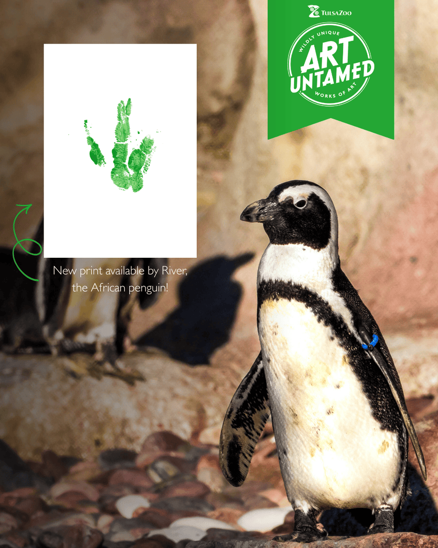 Tulsa Zoo tweet media