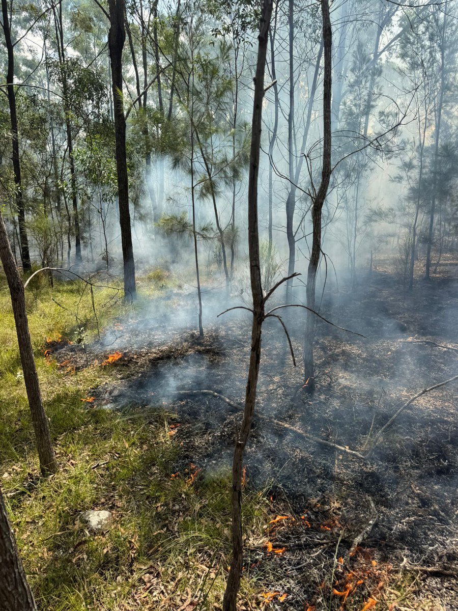 Firesticks tweet media