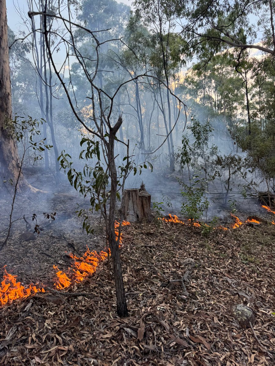 Firesticks tweet media