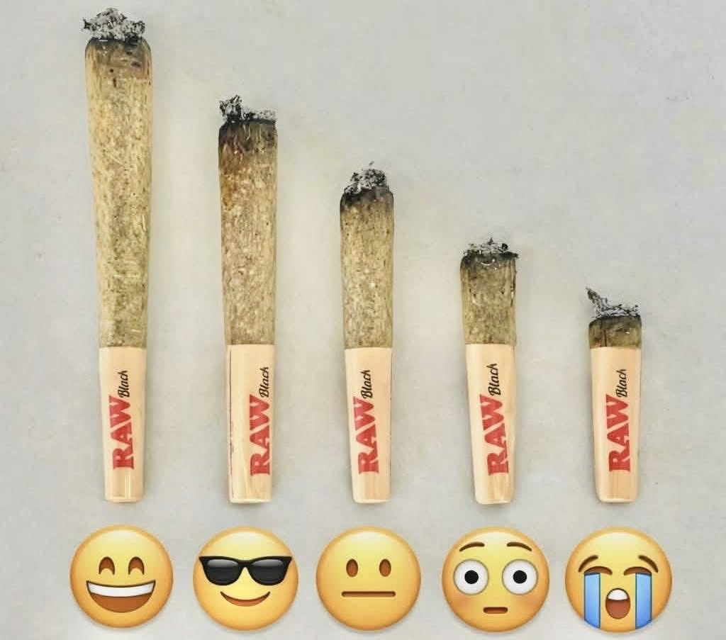 iFlyHigh™ 🎄 tweet media