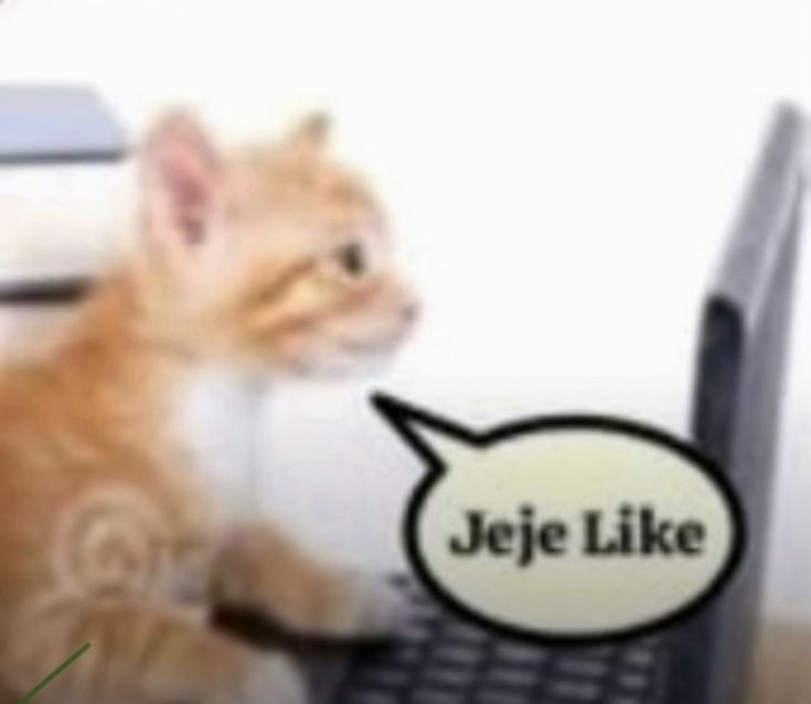 yo cuando quiero interactuar pero no se q comentar