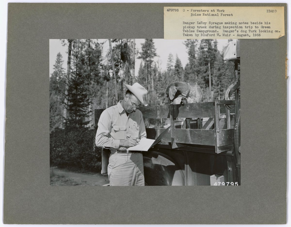 USFS_Pike&San Isabel tweet media